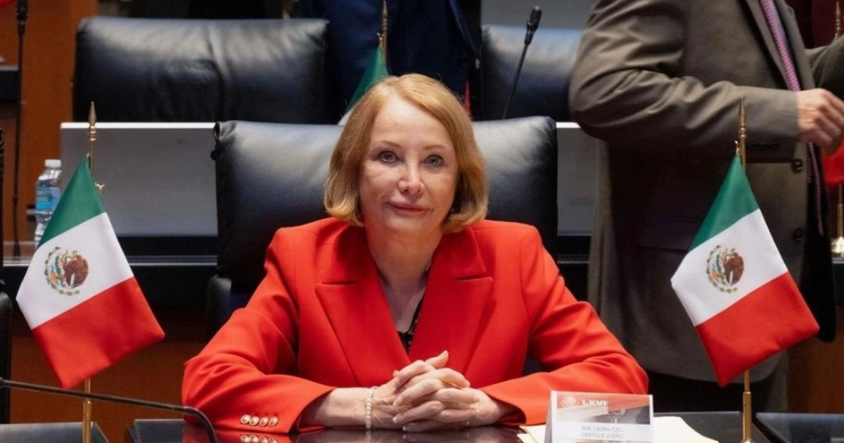 ‘No debe permitirse la violencia en las discusiones parlamentarias’: presidenta del Senado