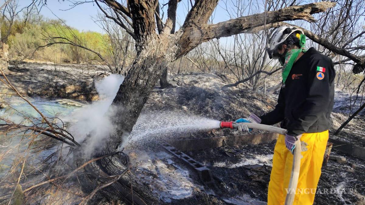 Incendio forestal afecta 150 hectáreas de matorral y pastizal en Nuevo León