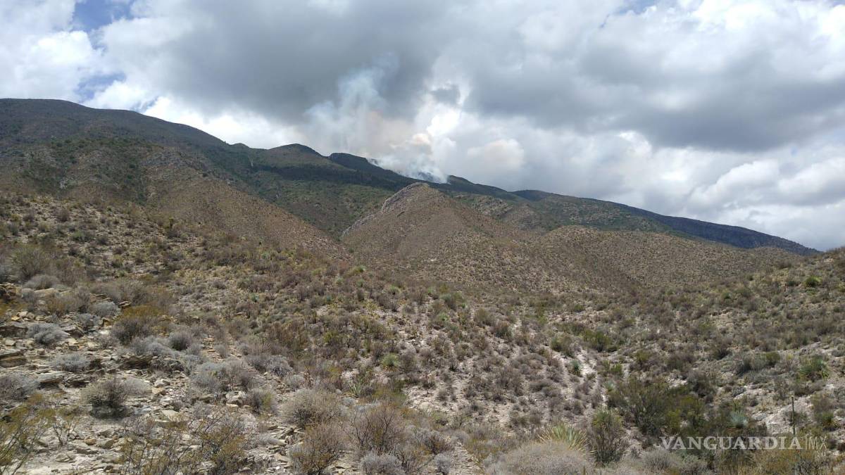 Se reactiva incendio en la sierra de Parras de la Fuente