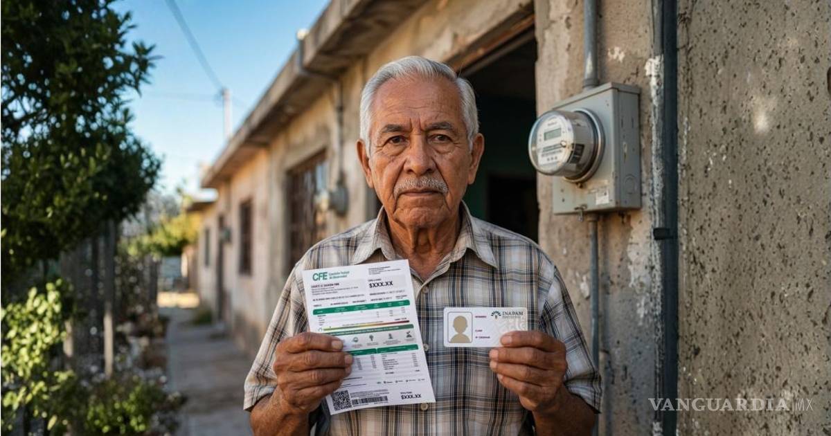 ¿Descuento del 50% en CFE con la tarjeta del INAPAM? La verdad tras el mito