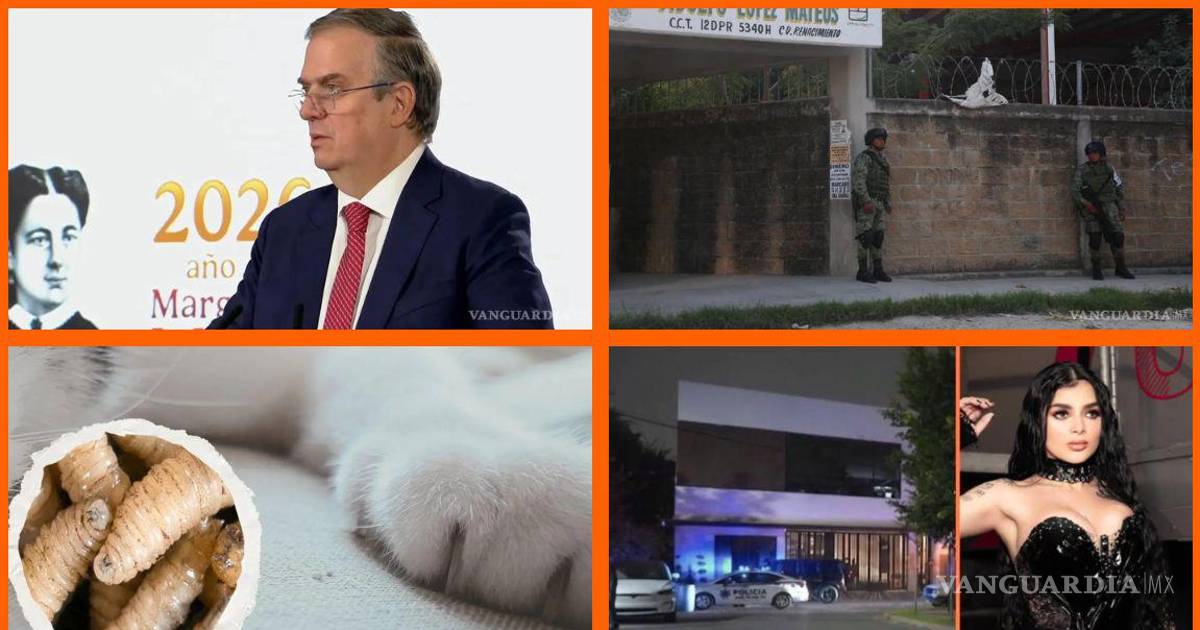 Las noticias más importantes del 29 de julio en México