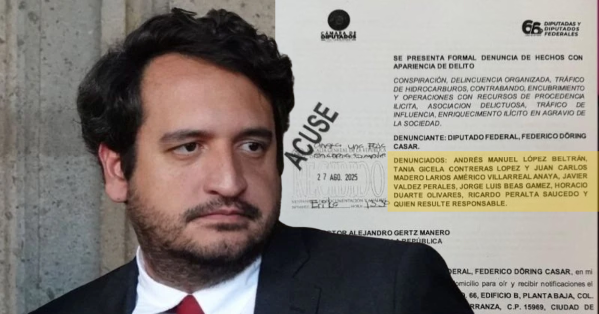 Presentan denuncia contra Andy López Beltrán y otros miembros de Morena, presuntamente vinculados a red criminal