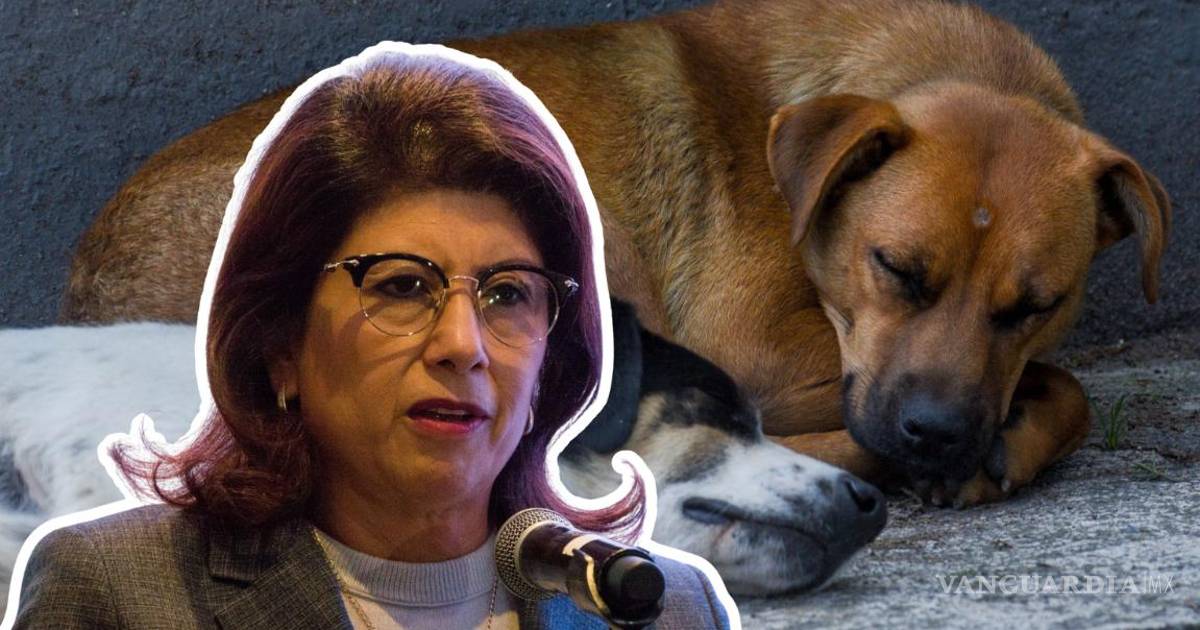 Mariela Gutiérrez Escalante reconoce sacrificio de 10 mil perros durante su gobierno en Tecámac