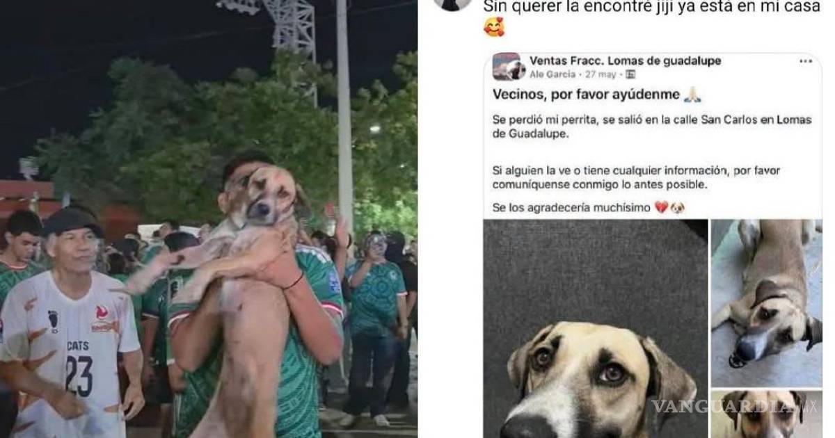 El milagro de Tamaulipas: Se perdió su perrita, pero los festejos de la Selección Mexicana la ayudaron a encontrarla