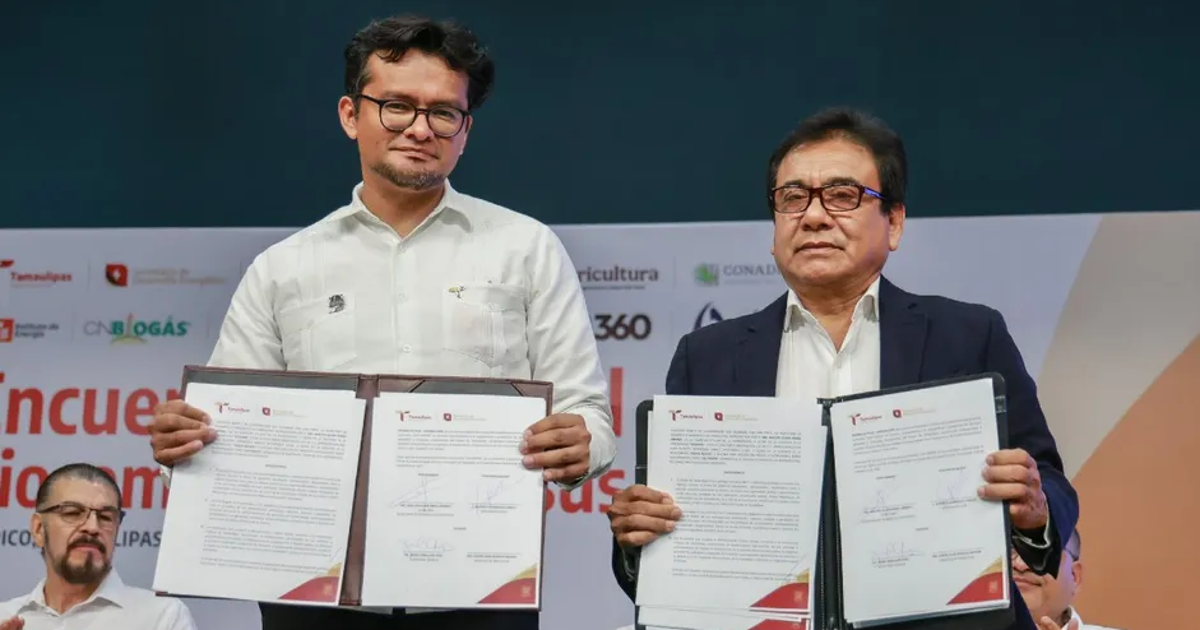 Proyecto de 100 millones de dólares busca impulsar industria local de biocombustibles