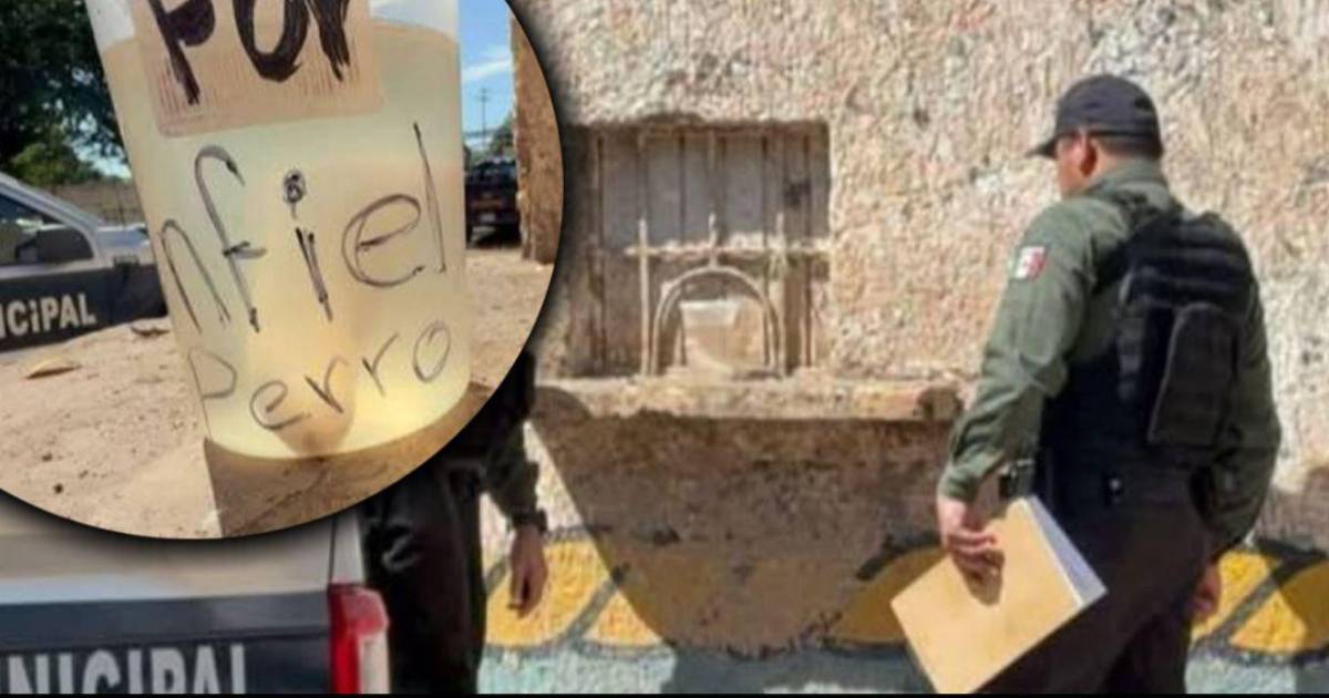 Macabro hallazgo: encuentran aparato reproductor masculino con mensaje de venganza, en Sinaloa