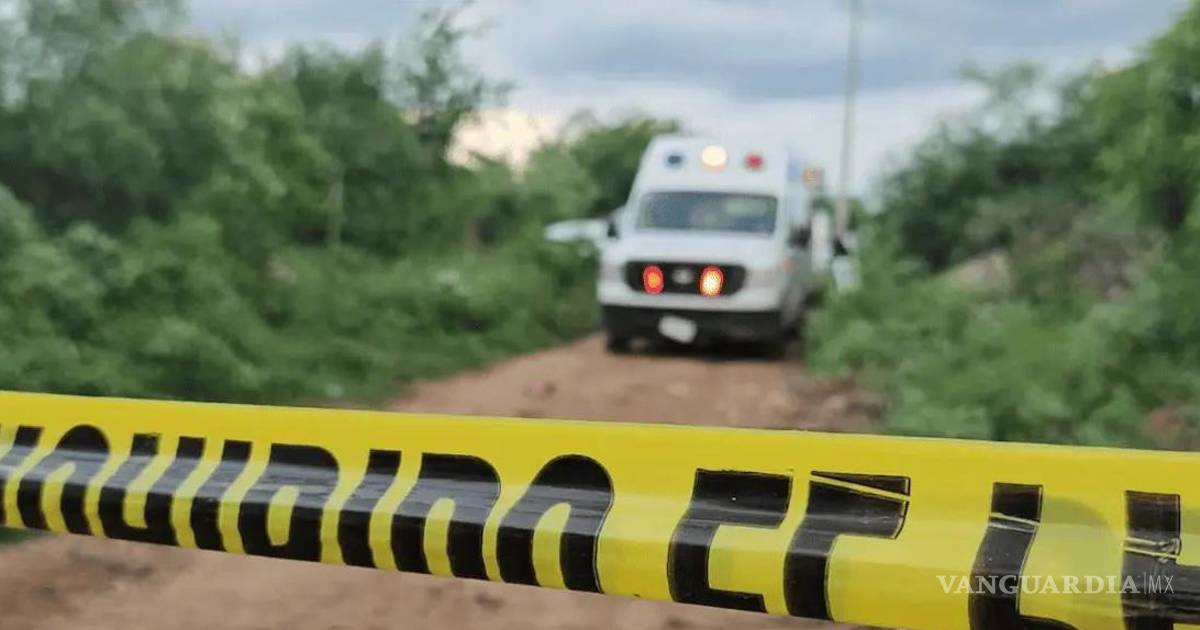 Fosas en El Verde siguen arrojando víctimas: activistas hallan otro cuerpo e identifican a desaparecido