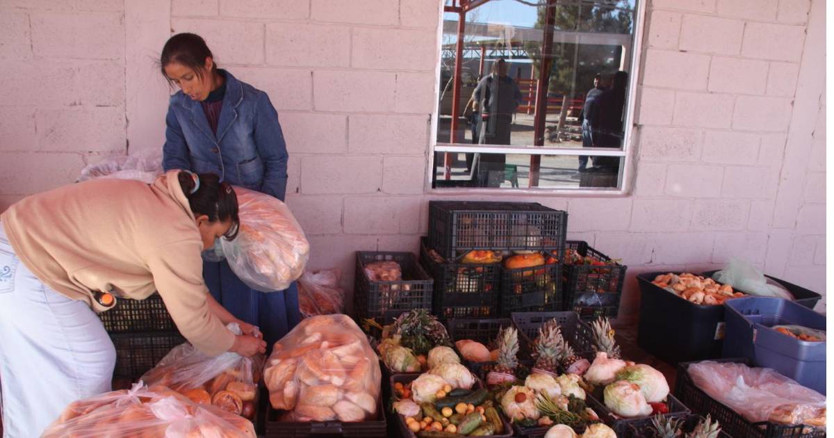 Cuesta 400 mmdp desperdicio de comida al año en México