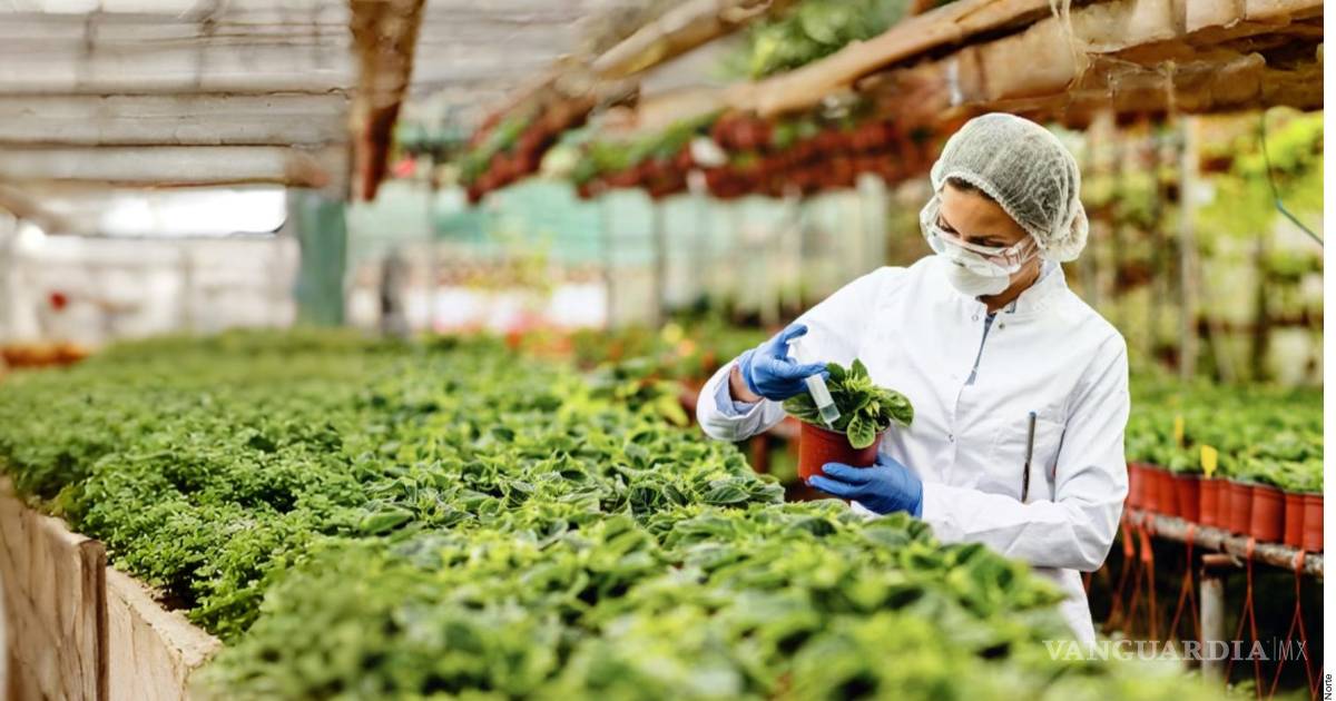 Exige EU condicionar renovación del T-MEC por trabas de Cofepris en biotecnología