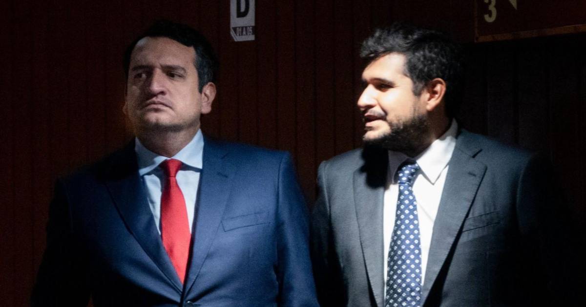 ¿Quién interpuso los amparos para Andy y Bobby?