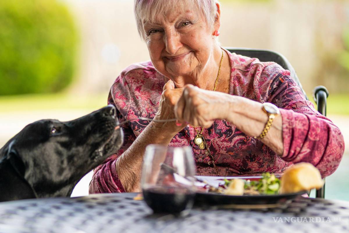 $!IMSS modifica trámite de pensión de viudez en 2026: estos son los requisitos