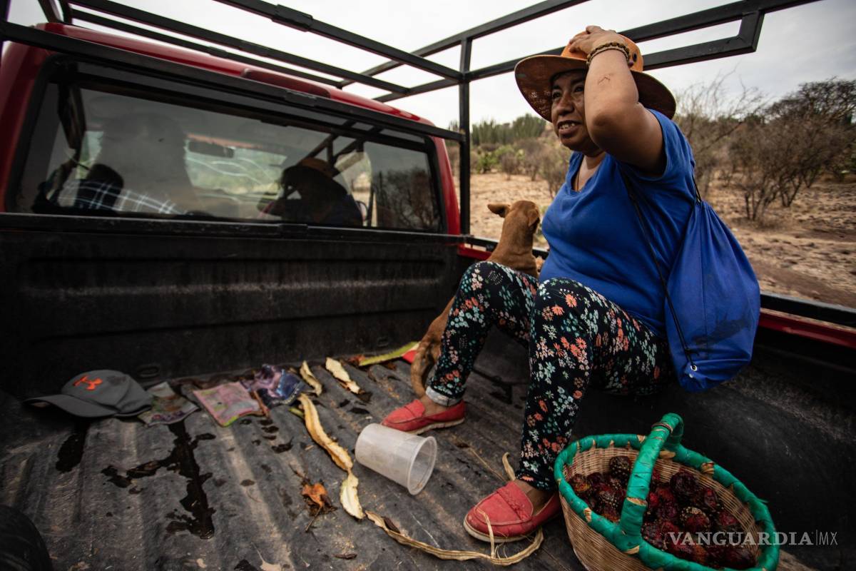 No tiene seguridad social 86% de trabajadoras agrícolas en México