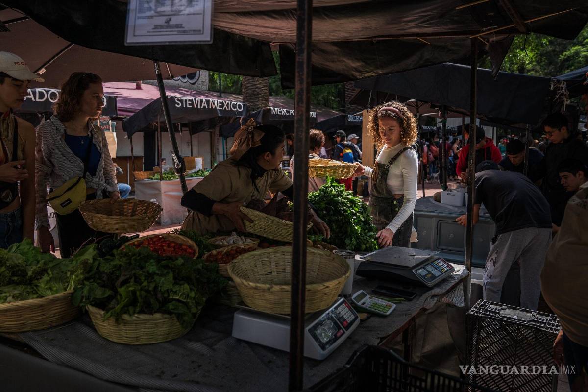 Estadounidenses buscan el sueño americano en Ciudad de México