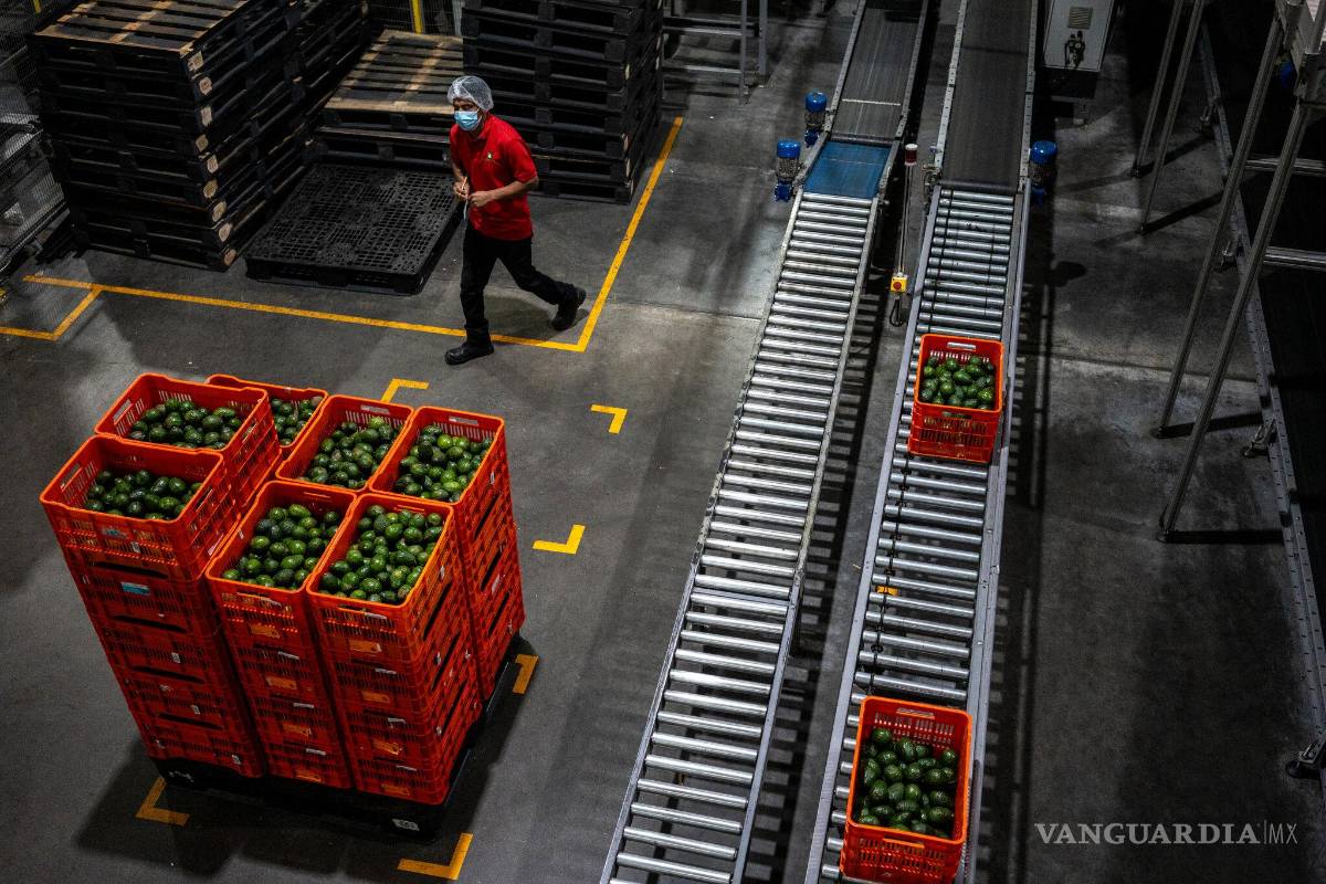 Realiza la Secretaría de Agricultura estadounidense histórica misión comercial agroindustrial en México