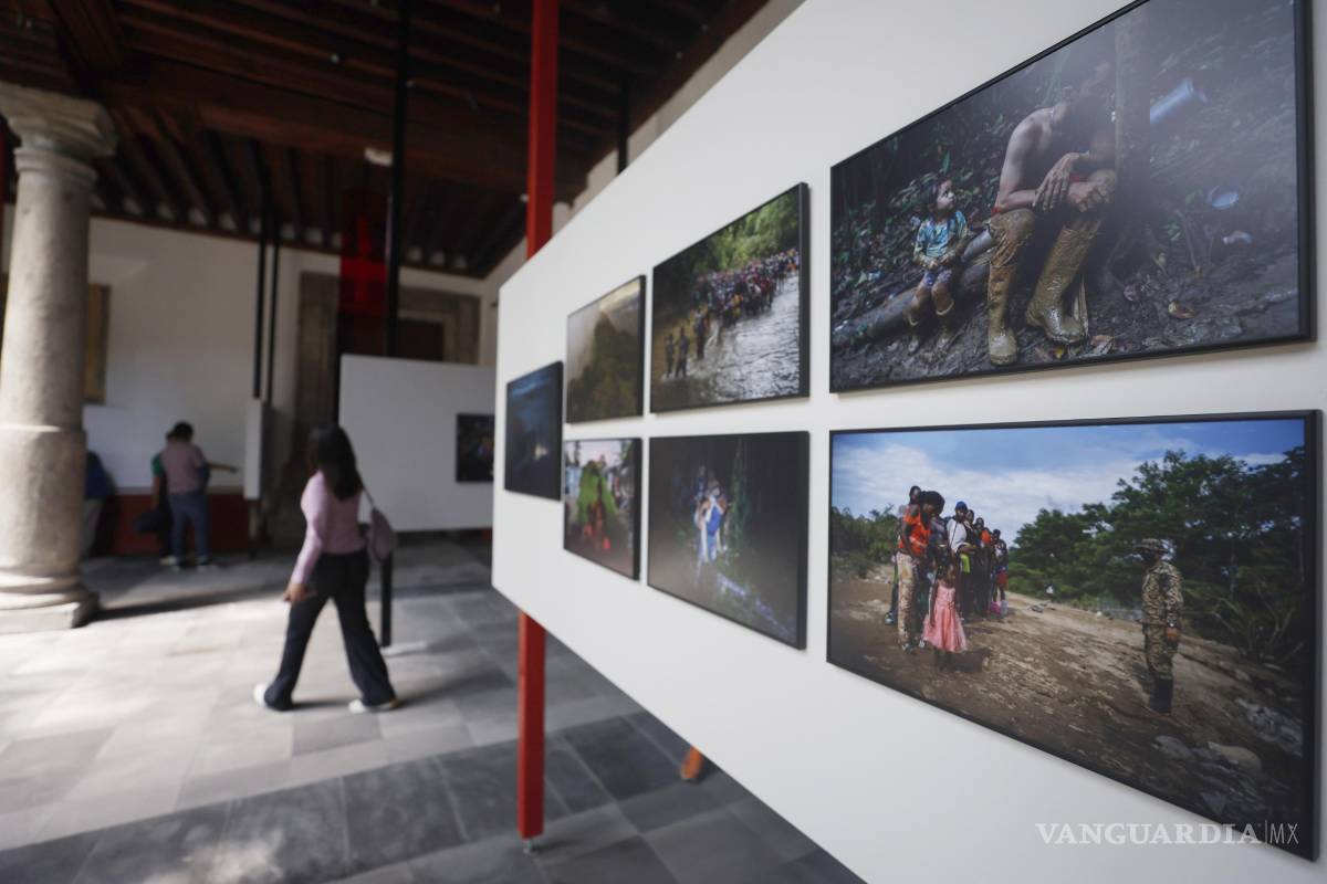 Vuelve el World Press Photo a México, retratando el genocidio en Palestina pero sin inteligencia artificial