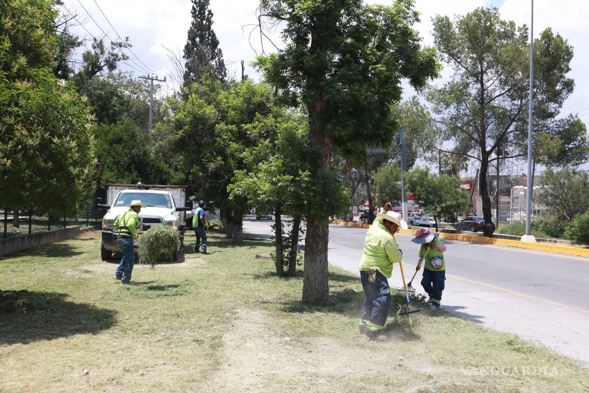 A petición ciudadana, embellecen área verde de la colonia Jardines, en Saltillo