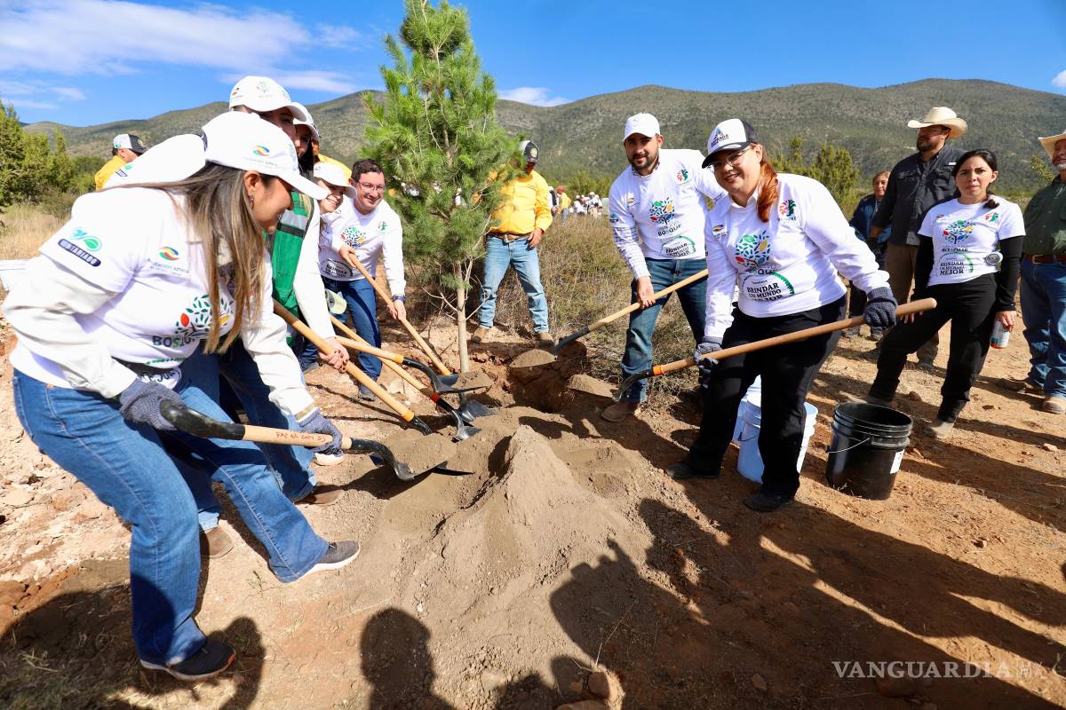 Arteaga impulsa la reforestación y la conservación ambiental