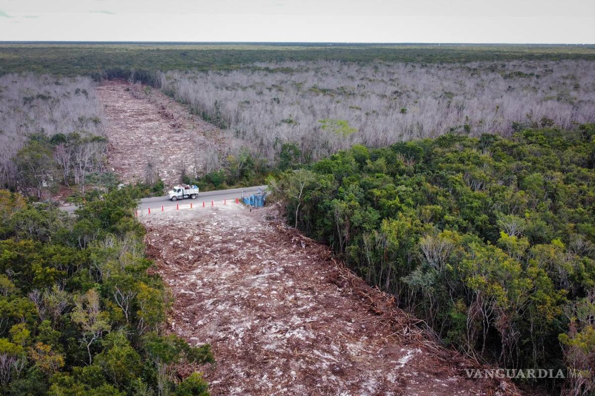 Denuncian hundimientos de suelo en la ruta del Tren Maya