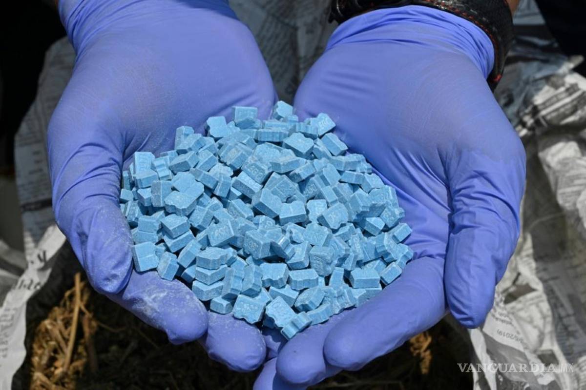 Coahuila: lideran metanfetaminas y cristal aseguramientos sobre cocaína y mariguana