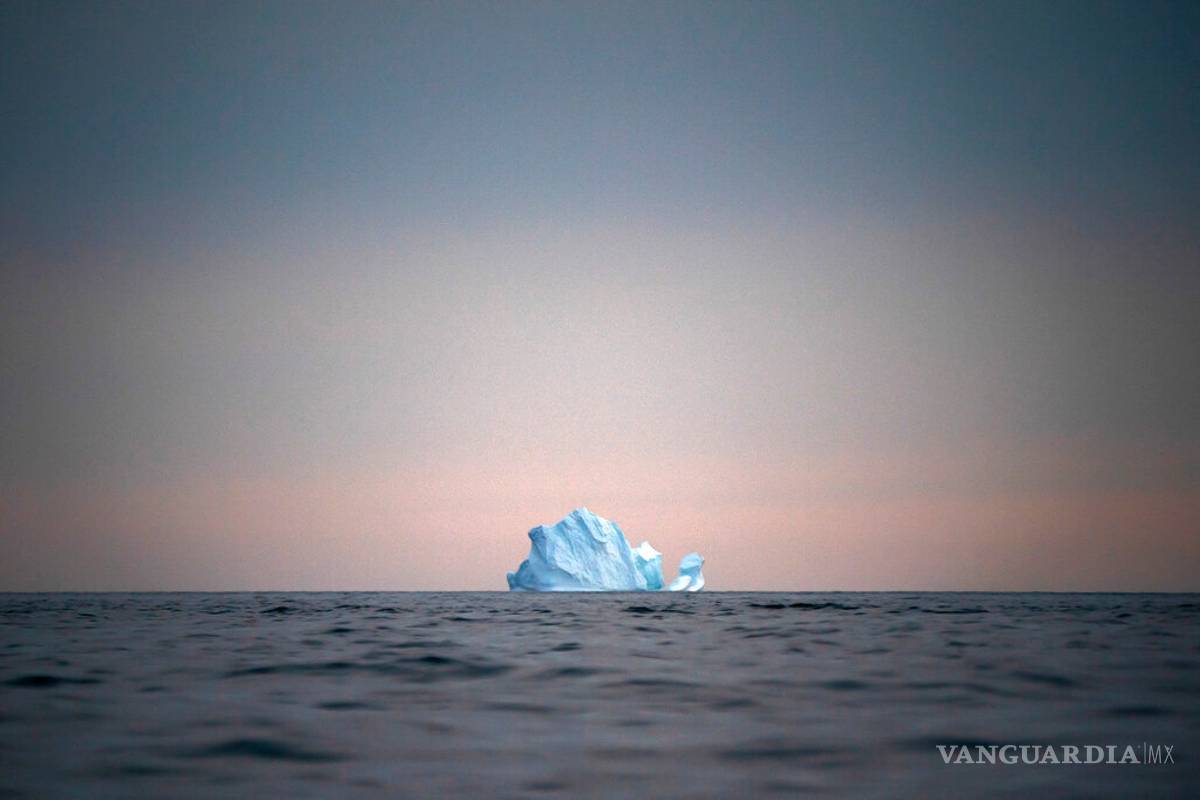 Tu jugo del día: La pornografía y wikipedia tienen mucho en común.. mientras la realidad virtual lleva al apocalipsis...