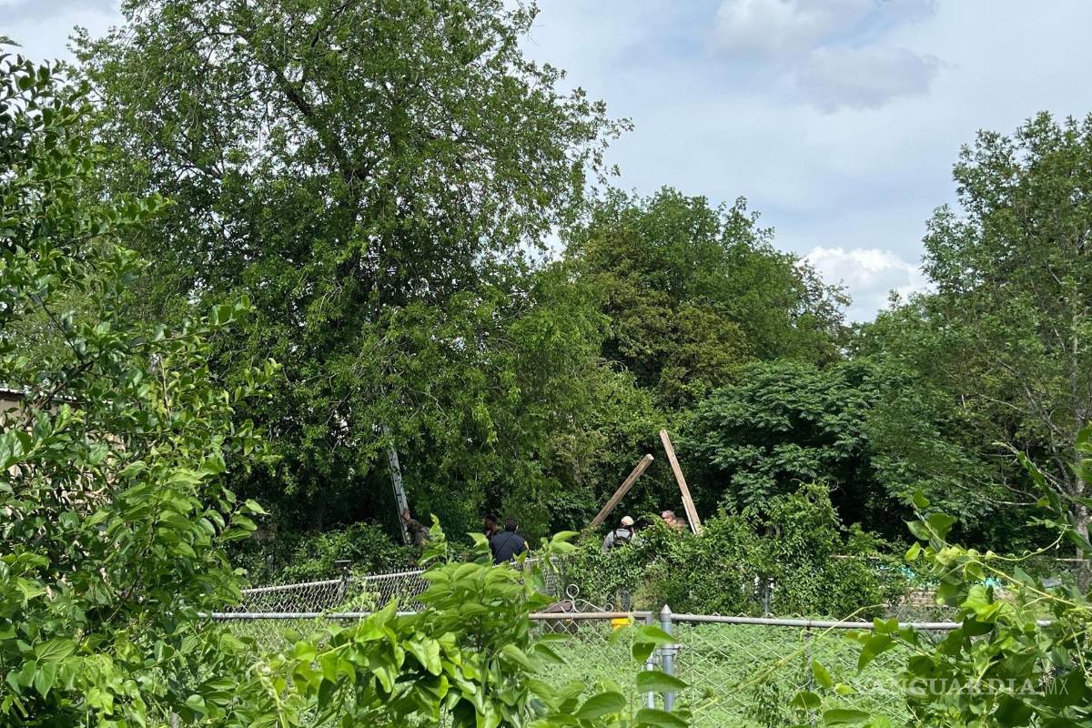 Para evitar ser arrestado por migración, un migrante pasa ocho horas subido a un árbol en San Antonio
