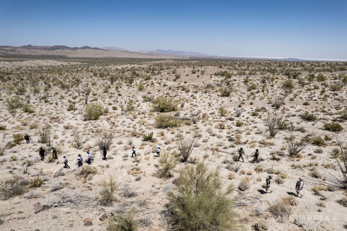 Conaza, un elefante blanco sin recursos para Coahuila