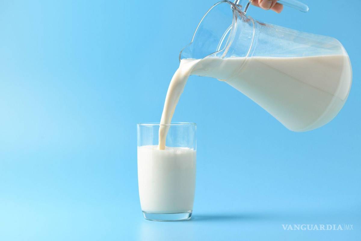 Coahuila: ¿Sabes cuáles son las mejores marcas de leche? Esto dice la Profeco