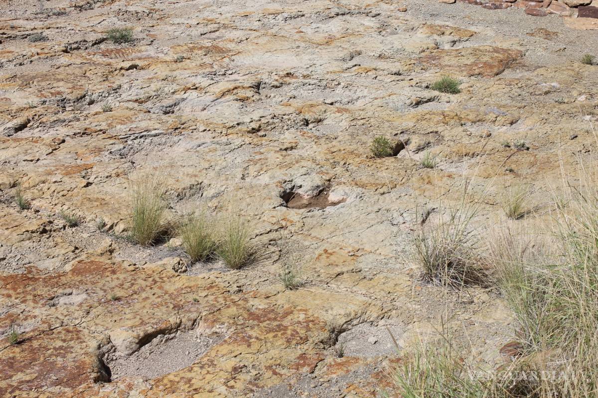 Abandona el INAH Tierra de Dinosaurios