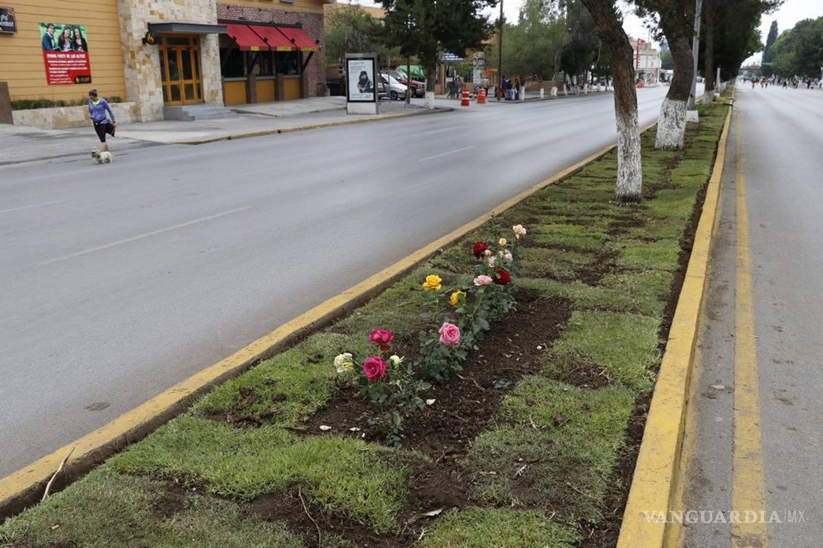 Bulevares V. Carranza y Fundadores de Saltillo lideran en accidentes viales