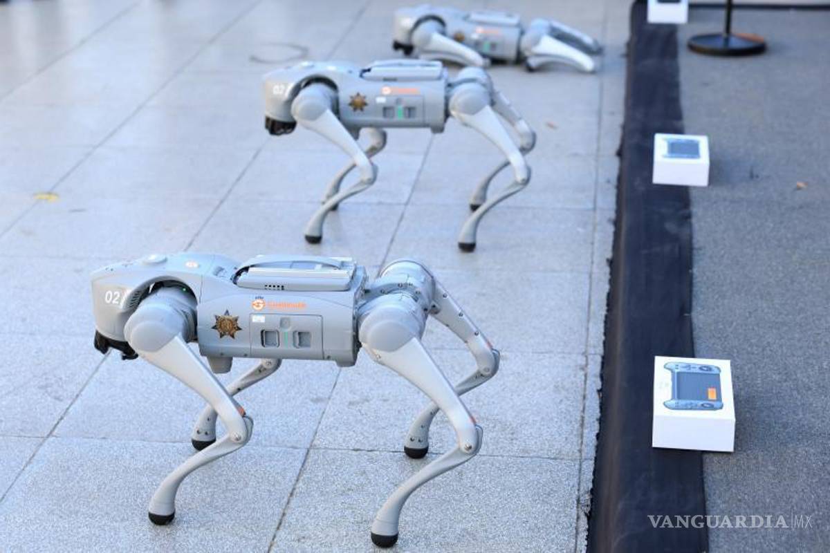 $!NL: De cara al Mundial, Guadalupe incorpora perros robots a sus tareas de seguridad