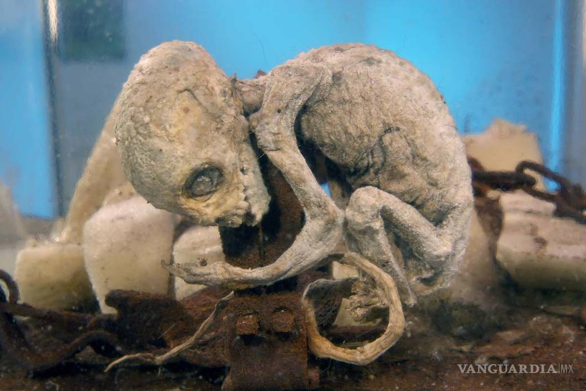 Los videos más escalofriantes de extraterrestres presentados por Jaime Maussan