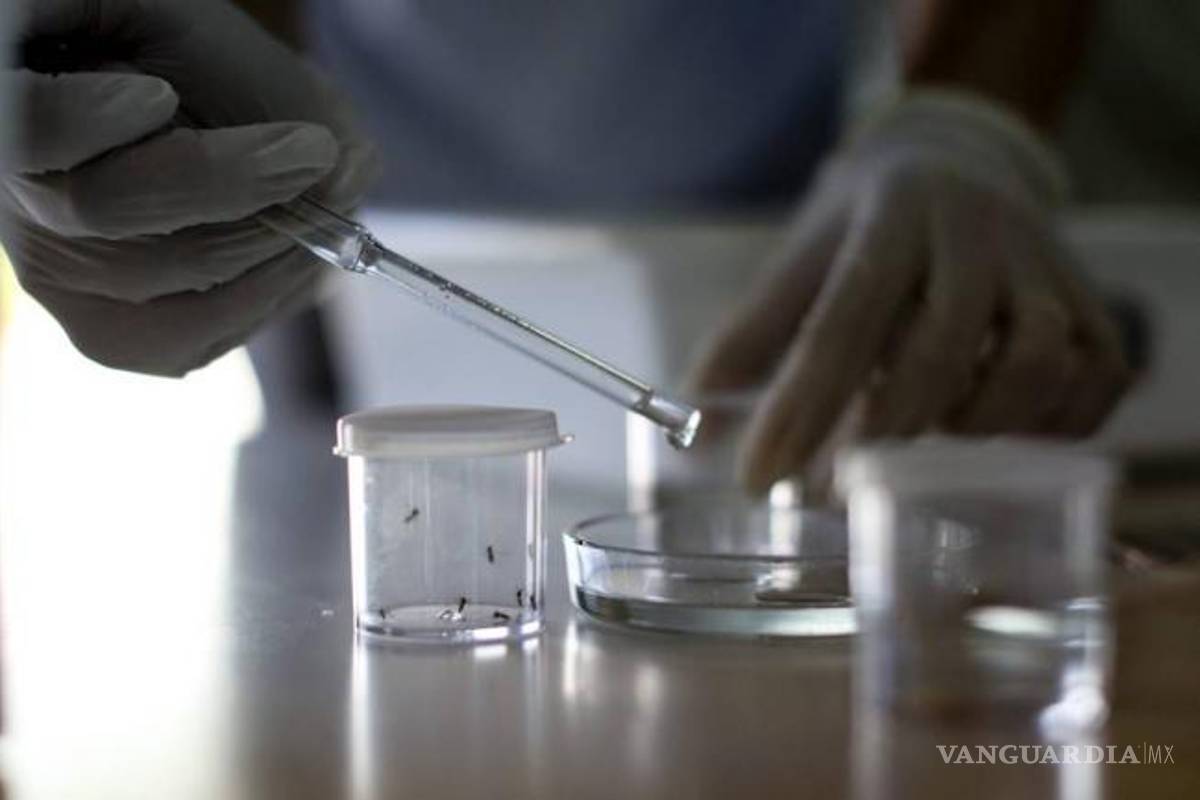 Se elevan los casos de zika a 183 en México: Ssa