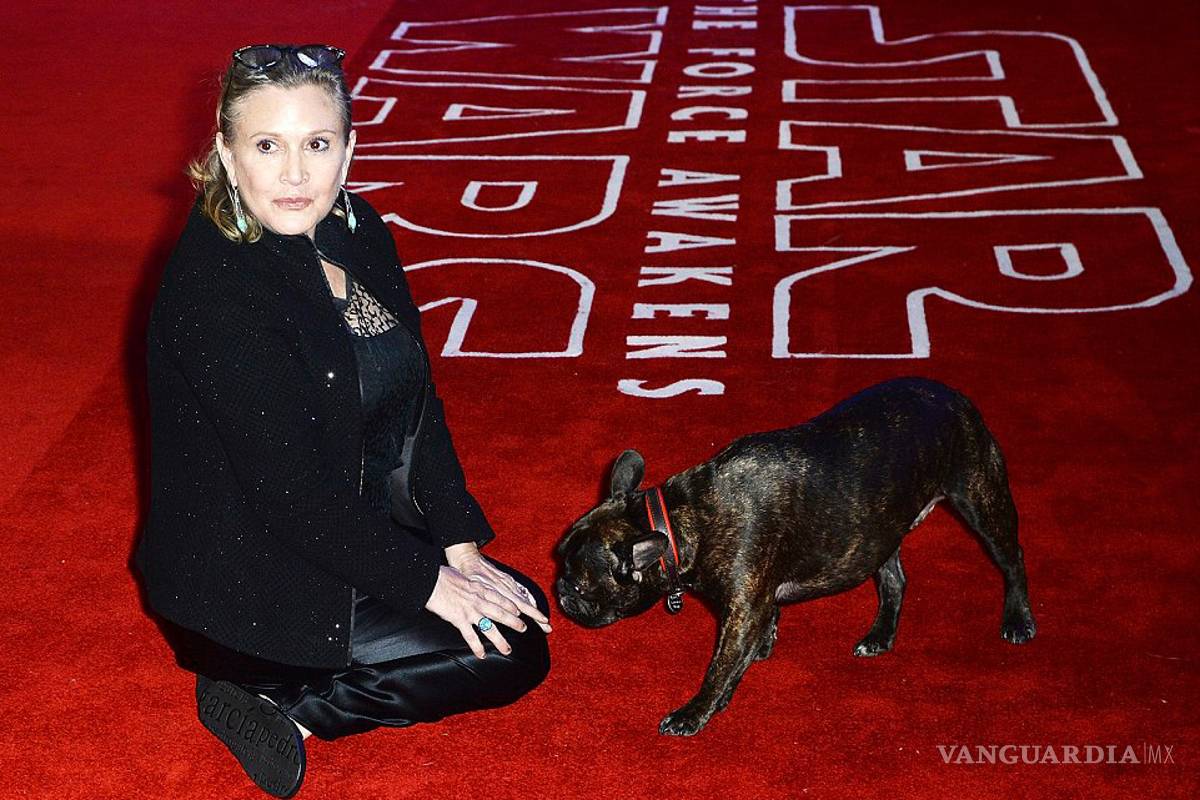 Gary, el perro de Carrie Fisher, 'dijo adiós' a su dueña