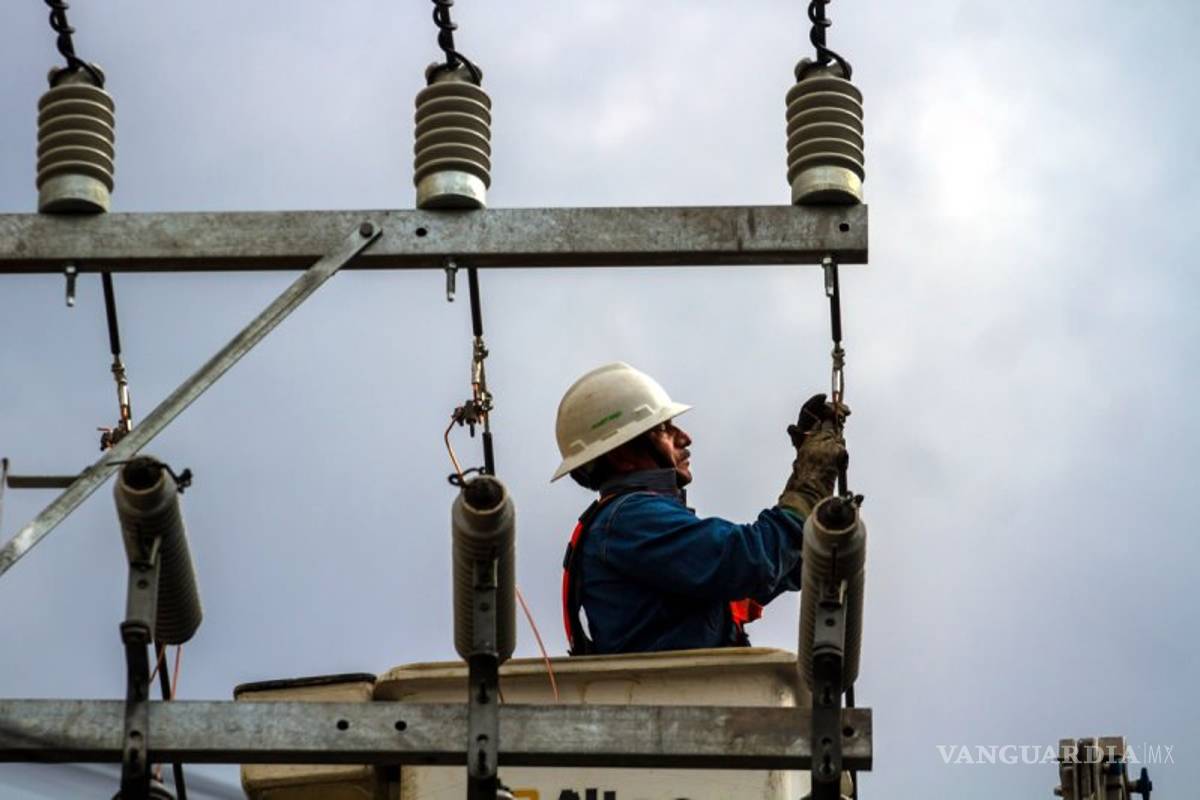 Mil empresas, entre ellas Pepsico, roban a CFE hasta 30 mil millones, acusan ex trabajadores del SME