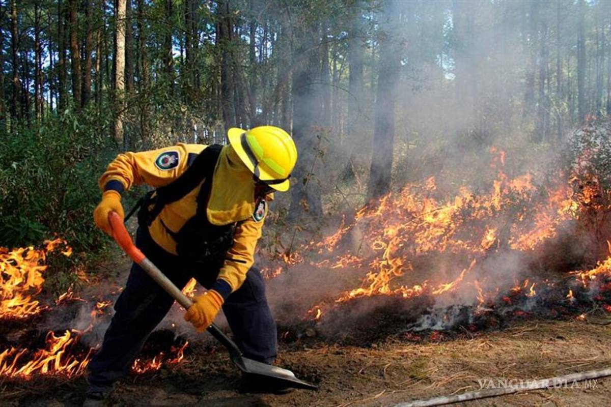 Buscan brigadistas de Coahuila lugar en equipo que irá a capacitarse a Estados Unidos