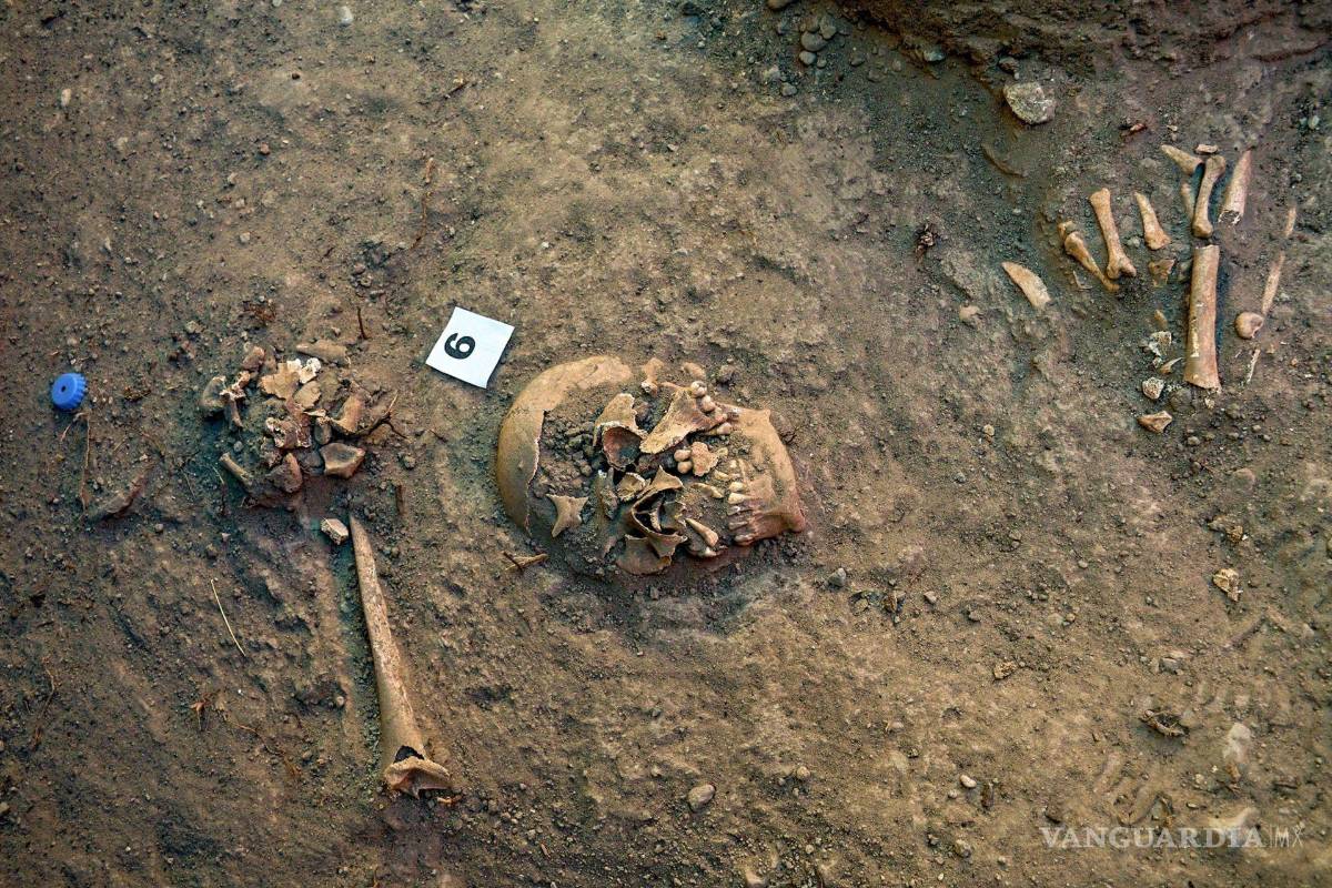 Encuentran restos de 21 personas en cementerio virreinal dentro del Bosque de Chapultepec