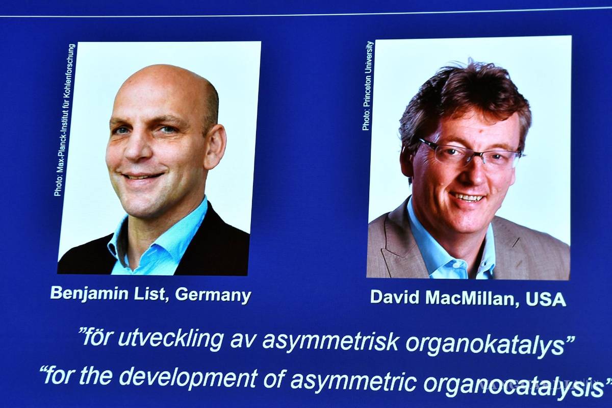 Nobel de Química a los creadores de la organocatálisis, nueva herramienta para construir moléculas