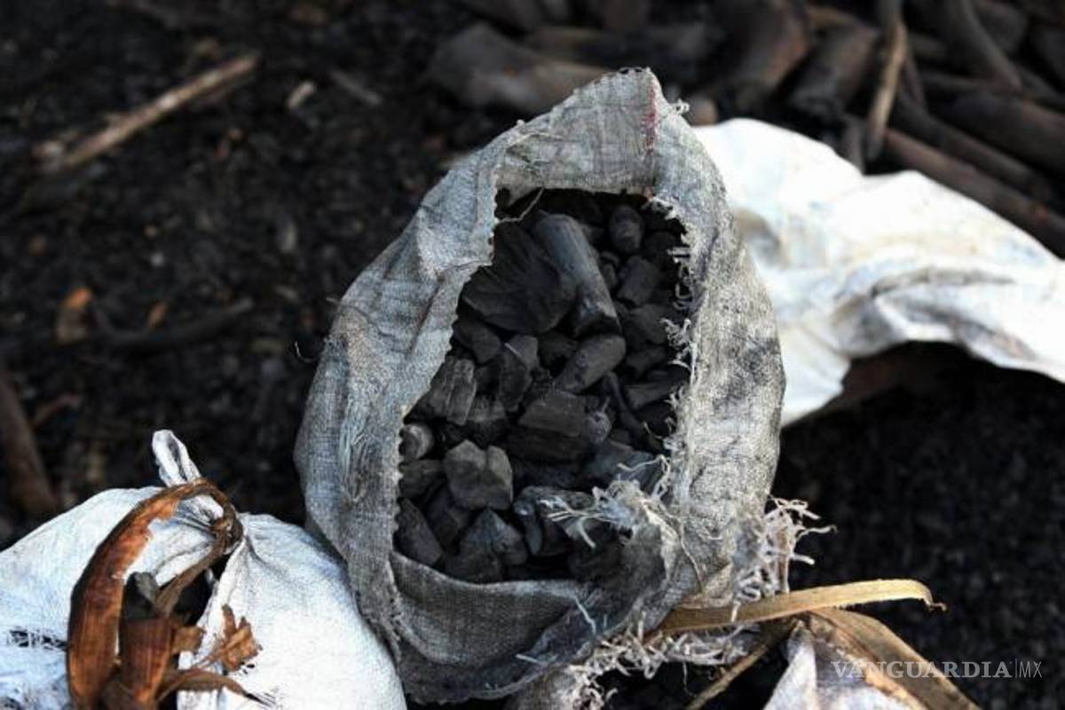 Gana empresa 'fantasma' concurso para venta de carbón a la CFE