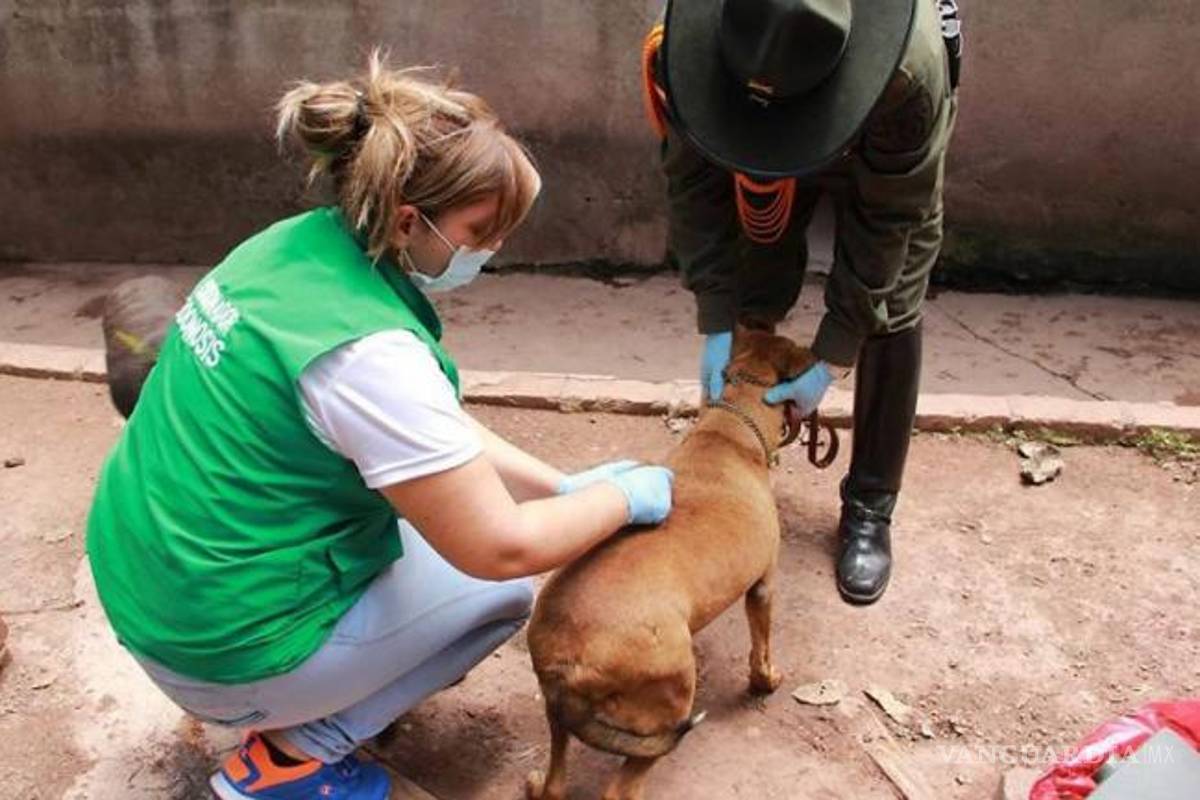 En Acuña más de 21 años sin casos de rabia