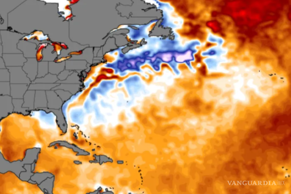 ‘El Niño’ ha comenzado y traerá más calor, advierte la OMM