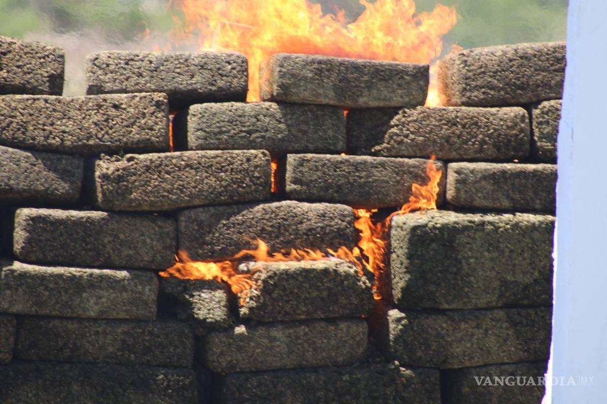 Incineran en Nuevo León más de 2 toneladas de drogas