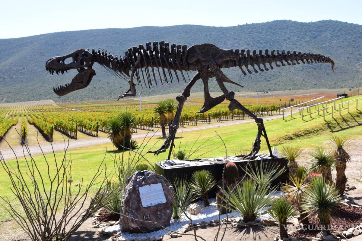 Parras, la joya del vino entre el desierto y la sierra de Coahuila