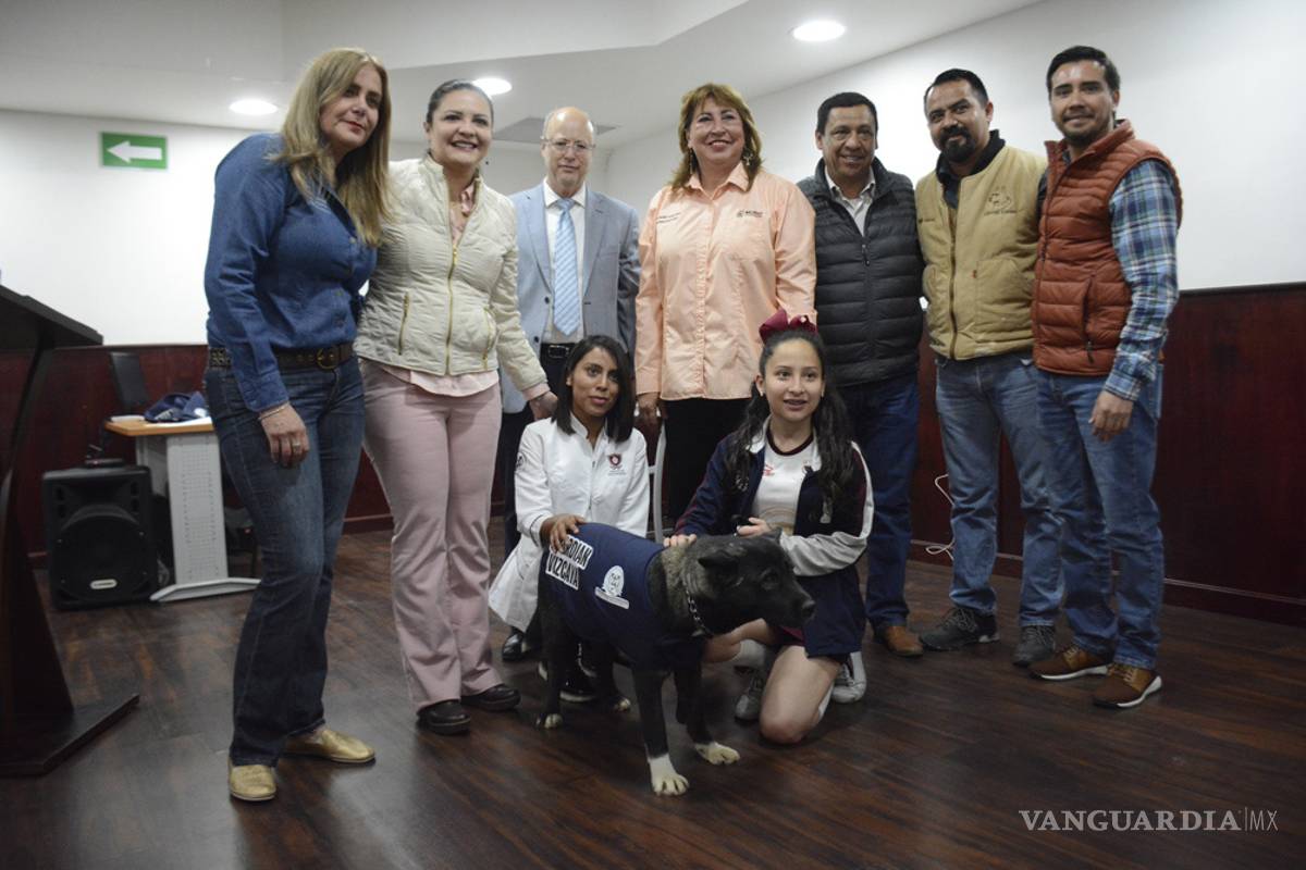 Campaña de esterilización de mascotas en la Vizcaya