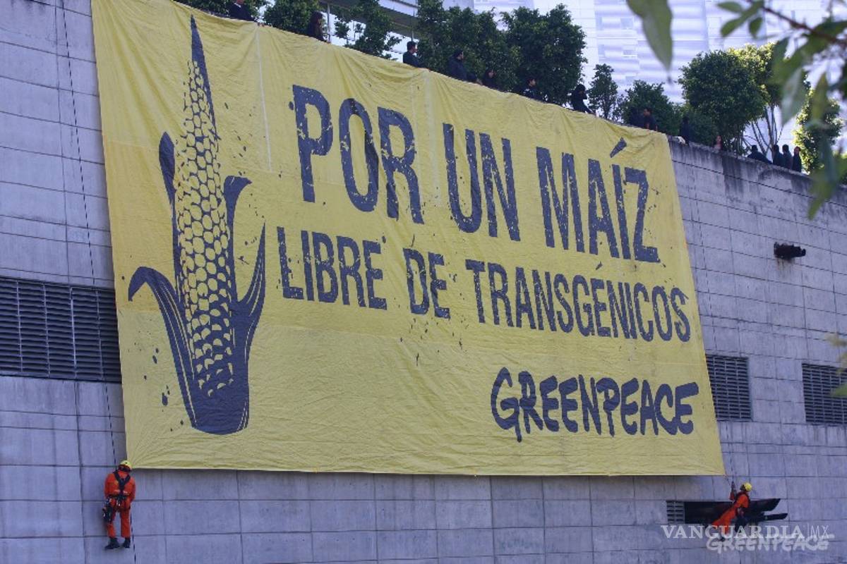 Monsanto se defiende: Debe decidirse sobre transgénicos con base en la ciencia