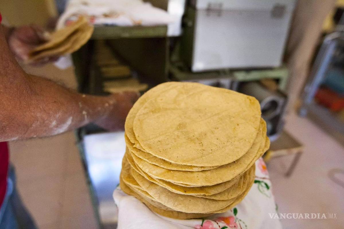 Científicos del IPN crean tortilla de cebada para controlar glucosa en la sangre