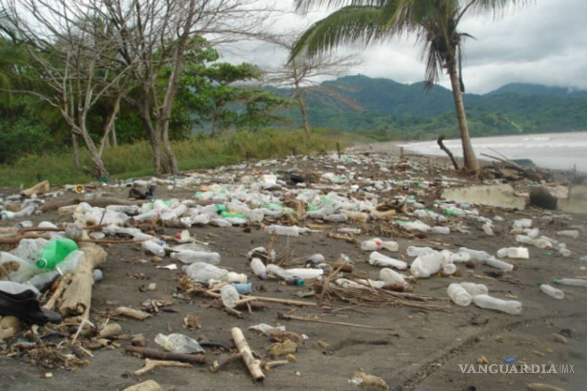 Costas del Golfo de México están contaminadas con plaguicidas