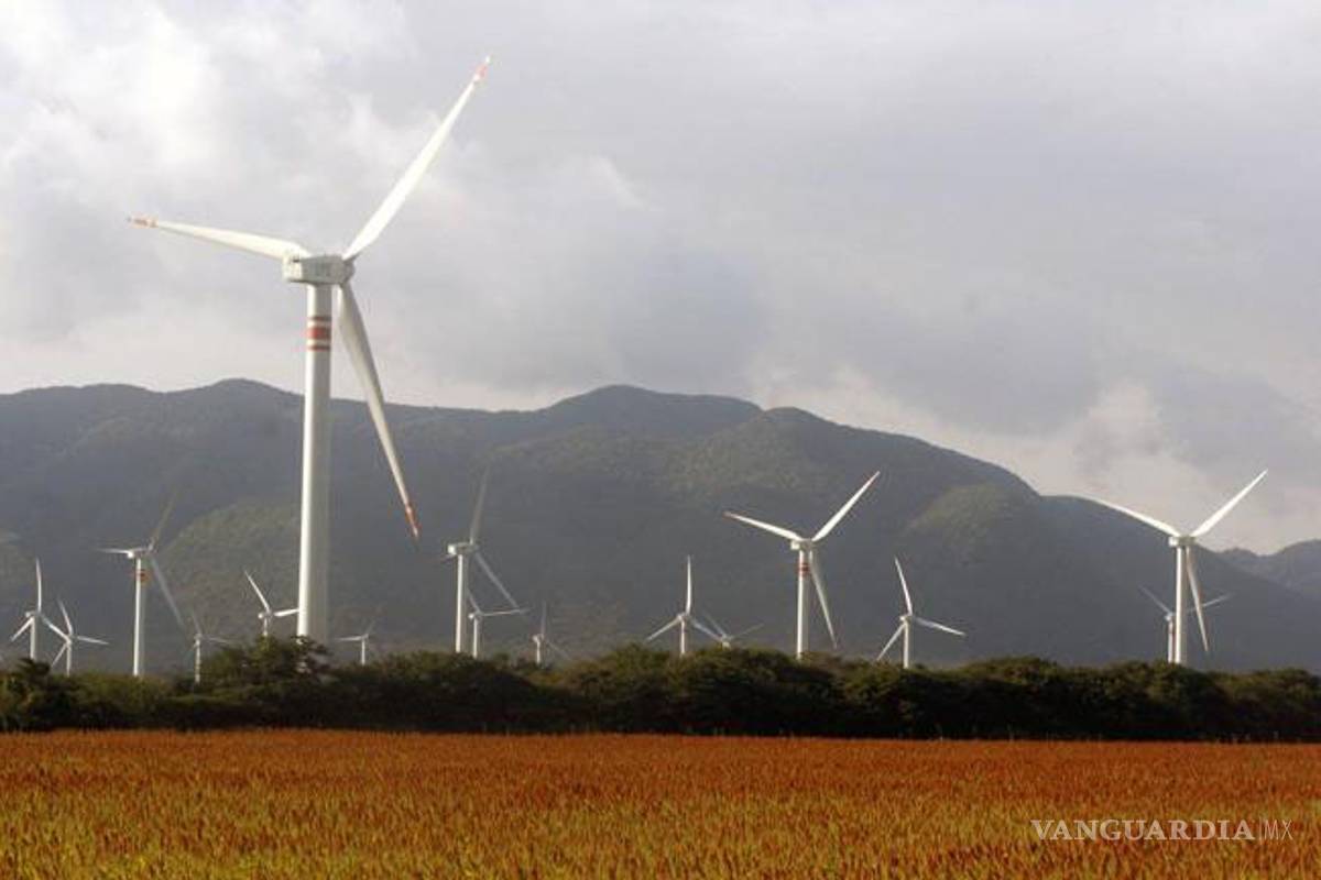 Nuevo León tendrá un nuevo parque eólico