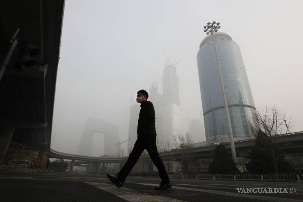 Sintetizan por primera vez almidón a partir de CO2