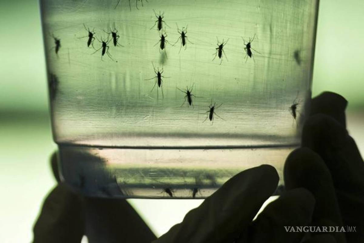 ‘Casos de zika irán a la baja’