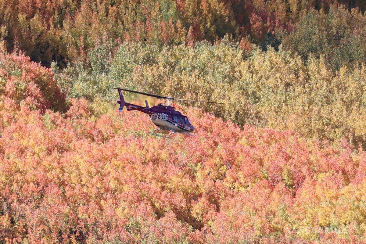 Continúa búsqueda de senderista regia en Sierra de Arteaga